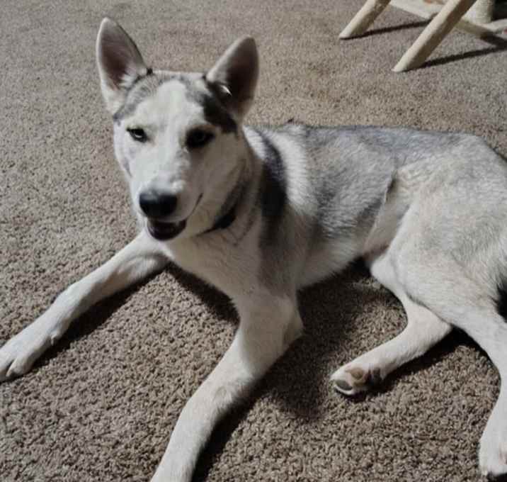 Photo of Lilly