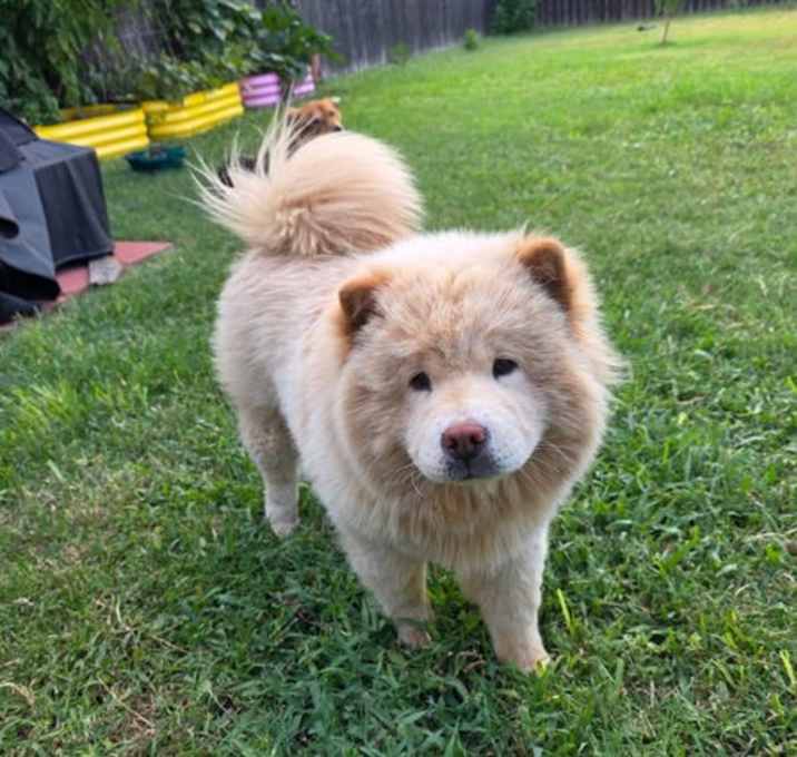 Photo of DAPHNE