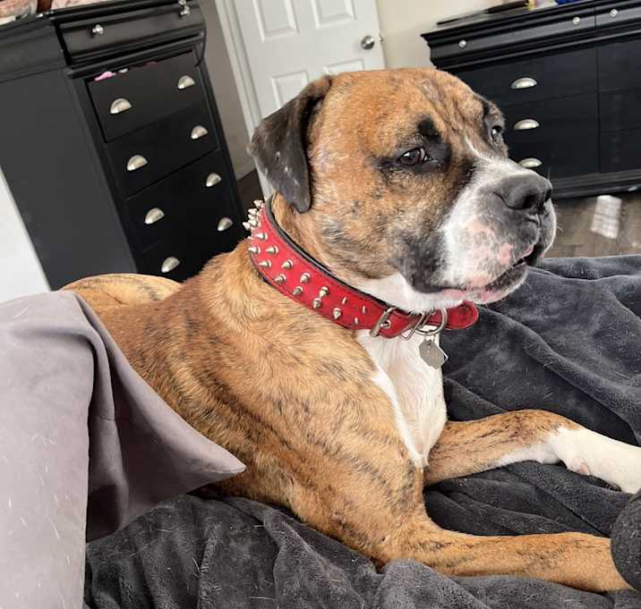 Photo of Echo