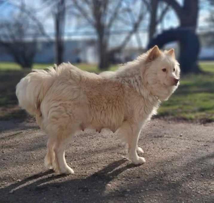 Photo of Ruby