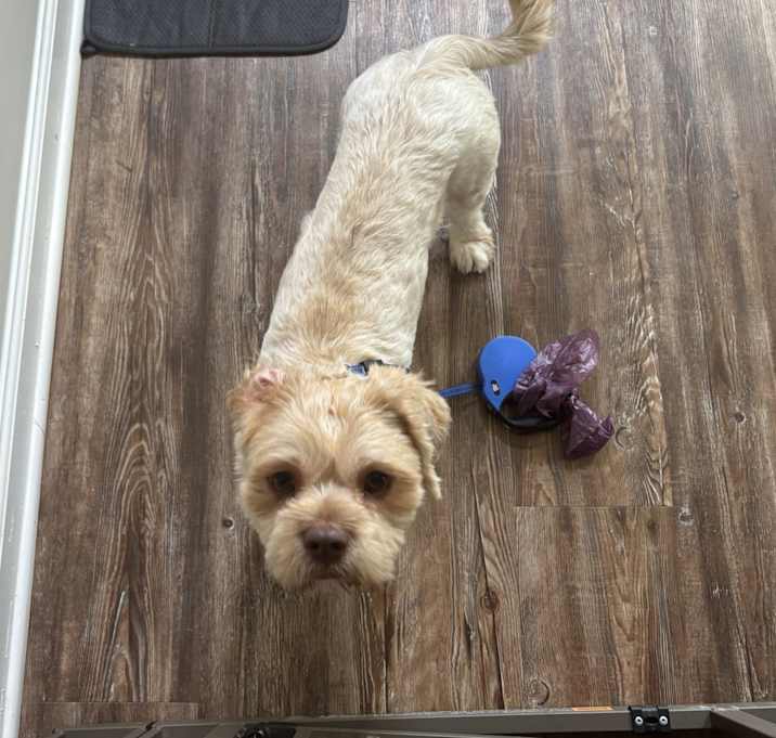 Photo of Simon