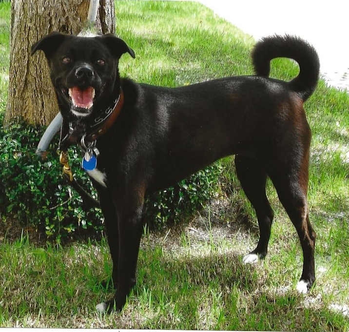Photo of Veda
