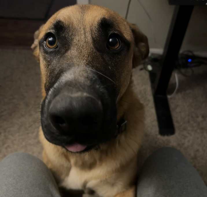 Photo of Chunky