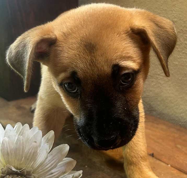 Photo of Bodie