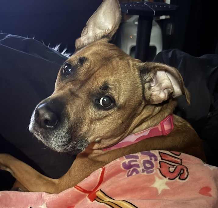 Photo of Sandy
