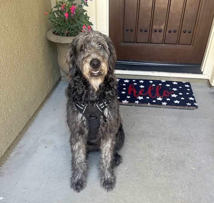 Photo of Elsa