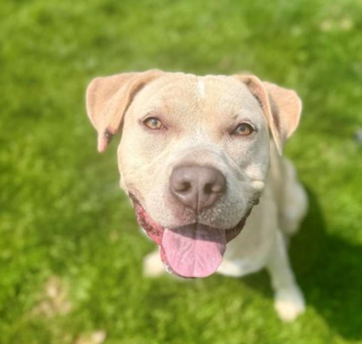 Photo of Ghost