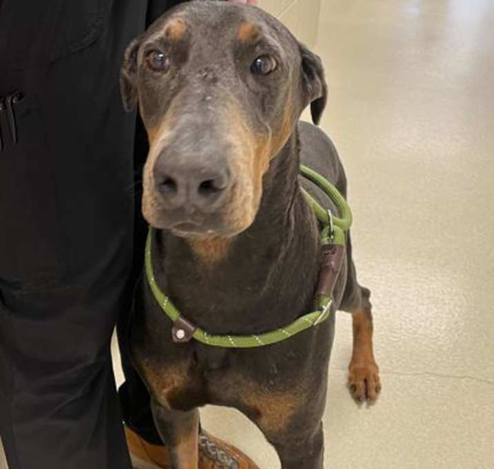 Photo of Judge