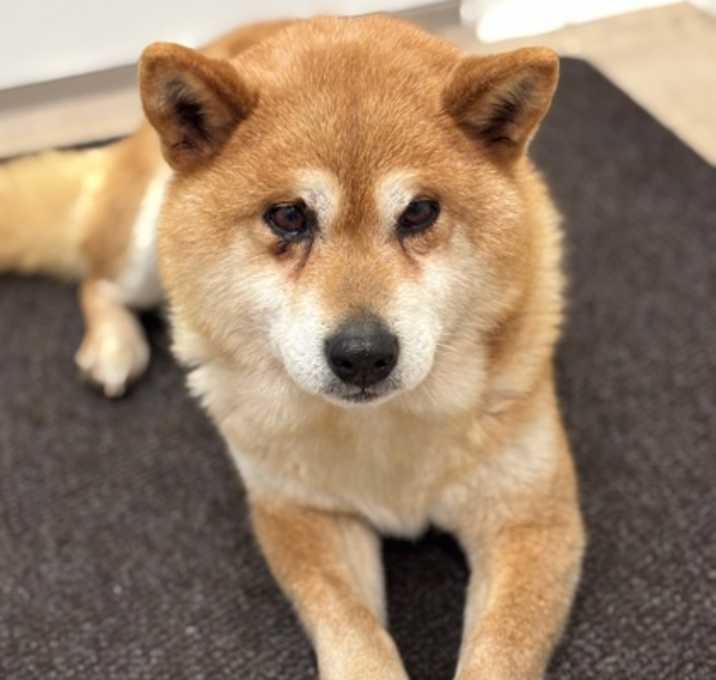 Photo of Max