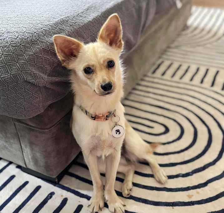 Photo of Rogue