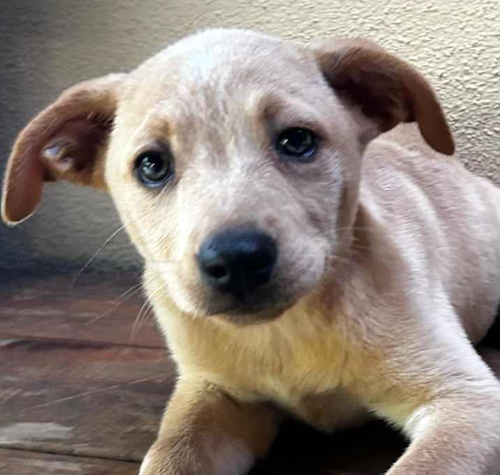 Photo of Lilly