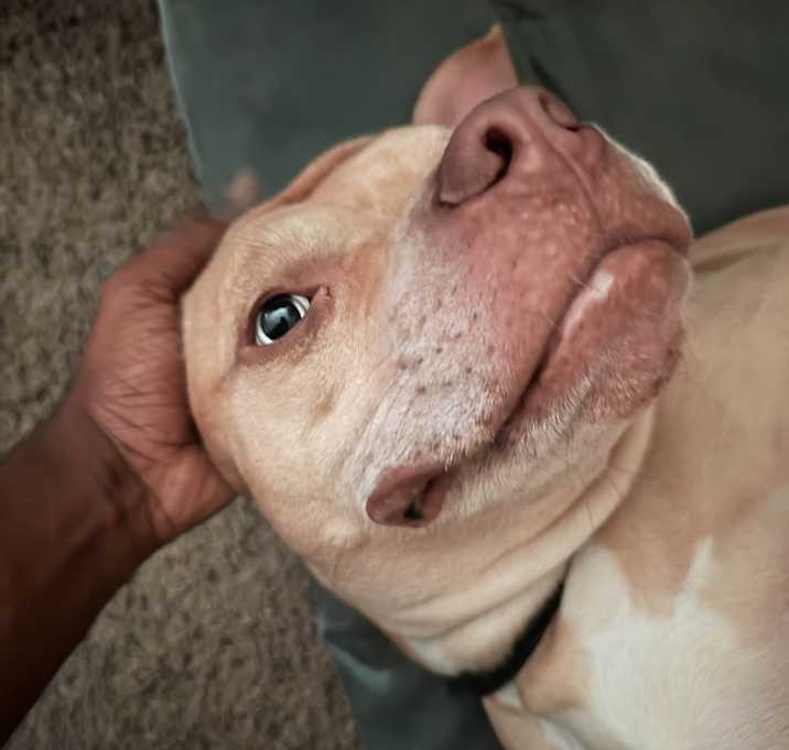 Photo of Kori