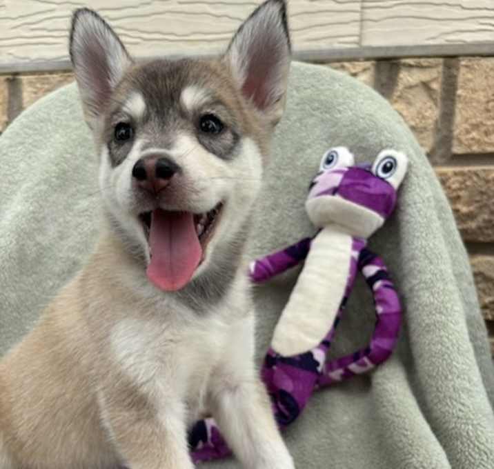 Photo of Maya