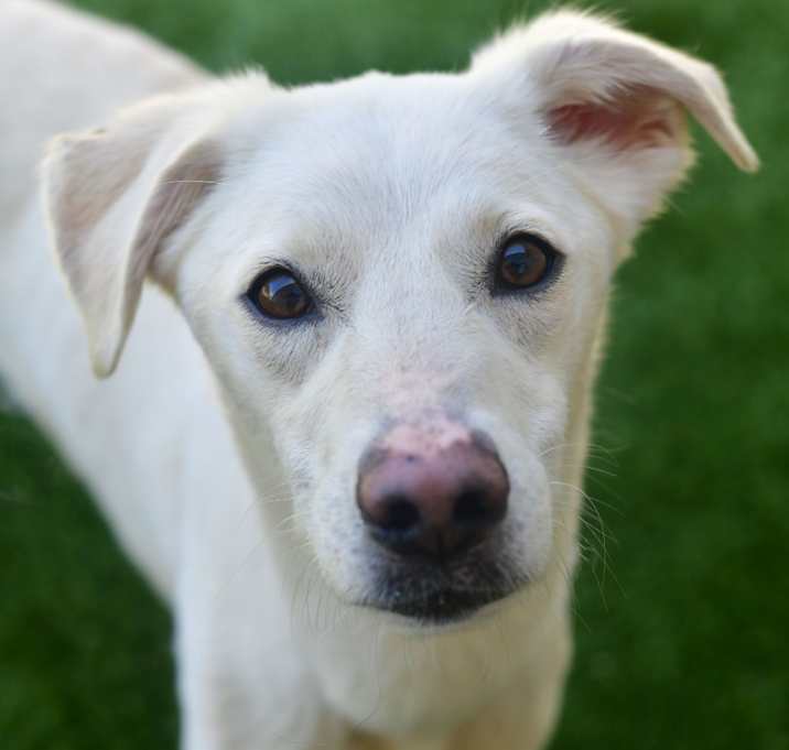 Photo of Tofu