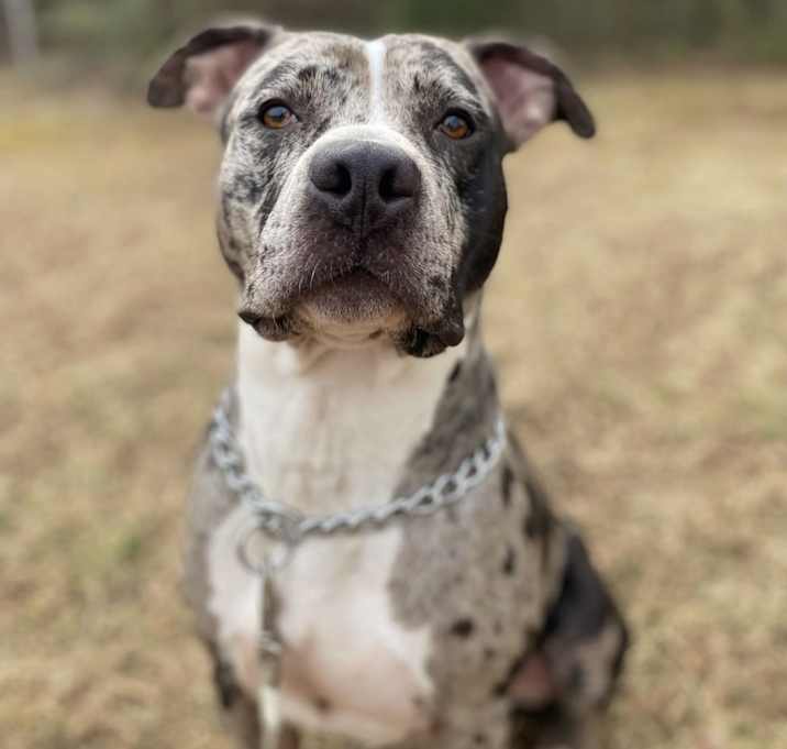 Photo of Kato