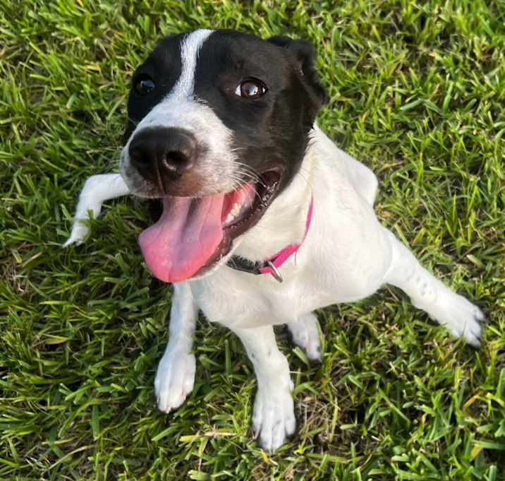 Photo of Dottie