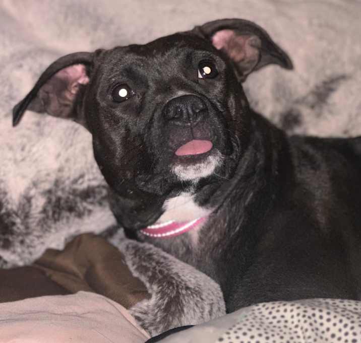Photo of Adorable Princess Sadie
