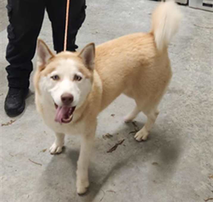 Photo of MAX