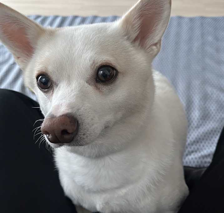 Photo of Binnie