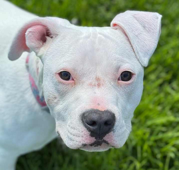 Photo of Kira