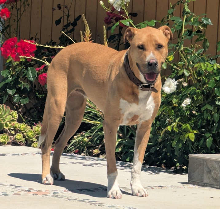 Photo of lola