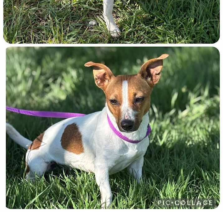 Photo of Roo