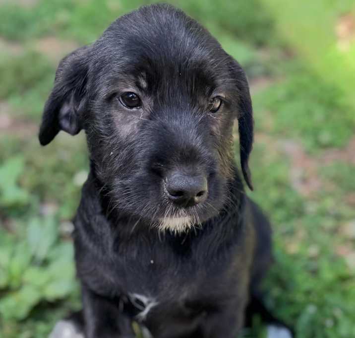 Photo of Libby
