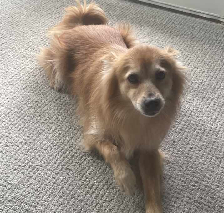 Photo of Colty