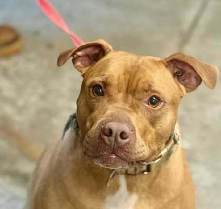 Photo of Thor