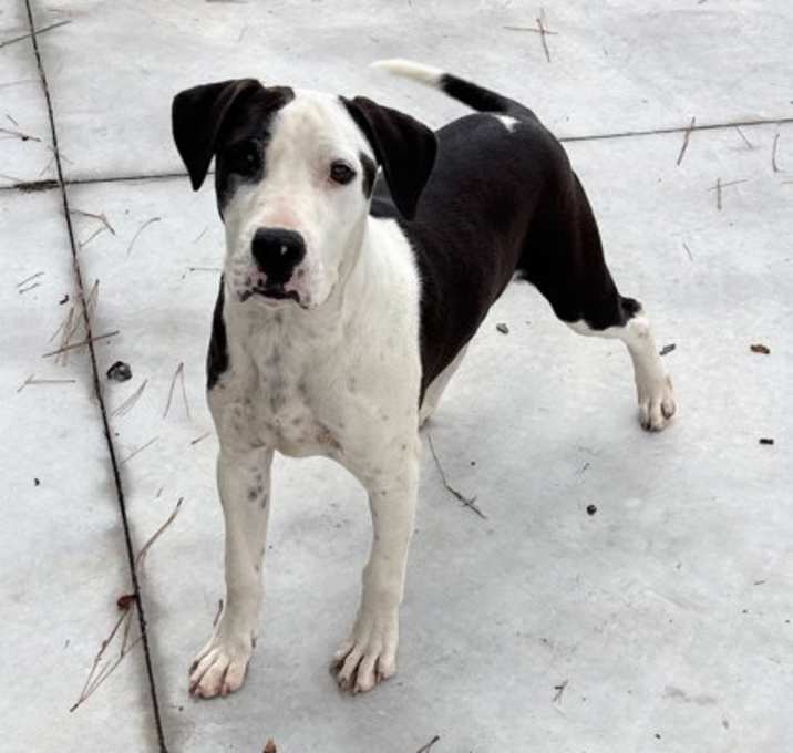 Photo of Luca 25-D0283