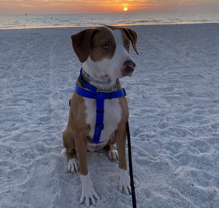 Photo of Zeus