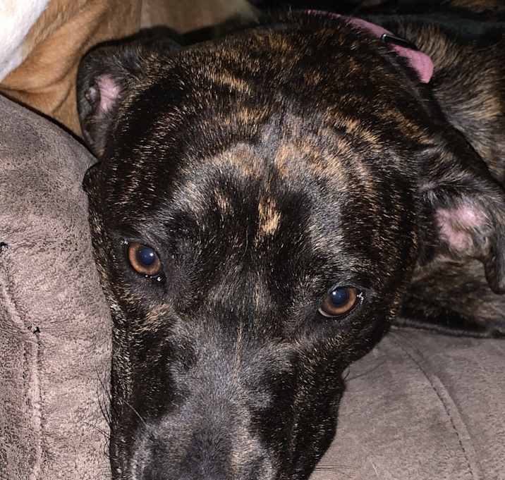 Photo of Freyja