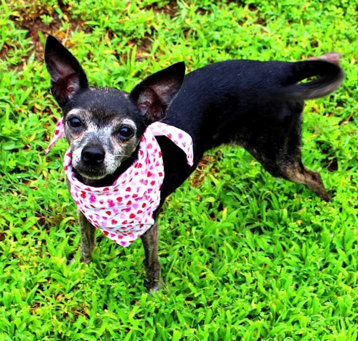 Photo of Mindy