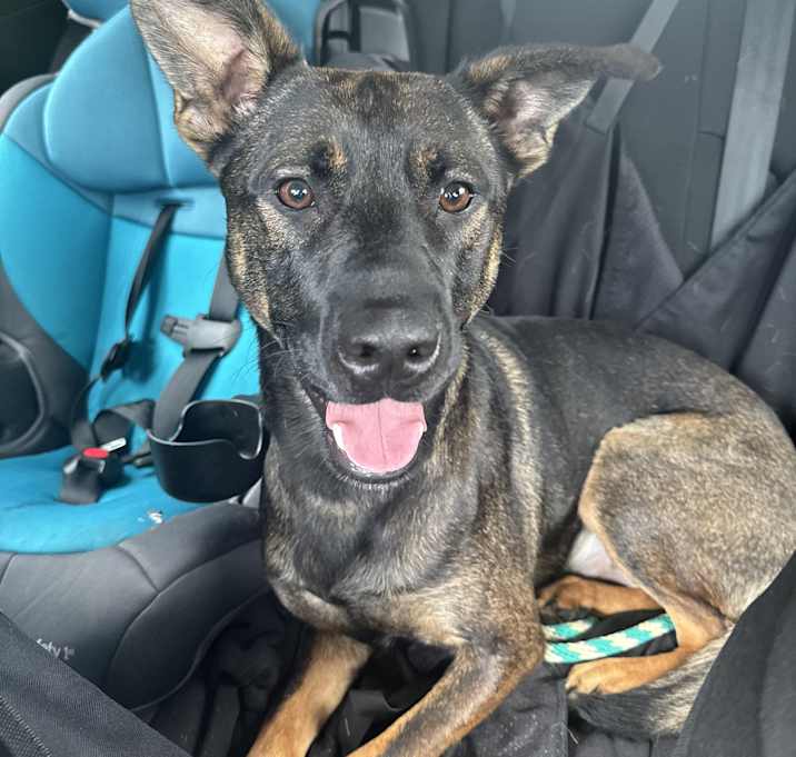 Photo of Flynn