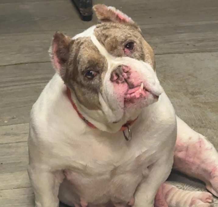 Photo of Lola