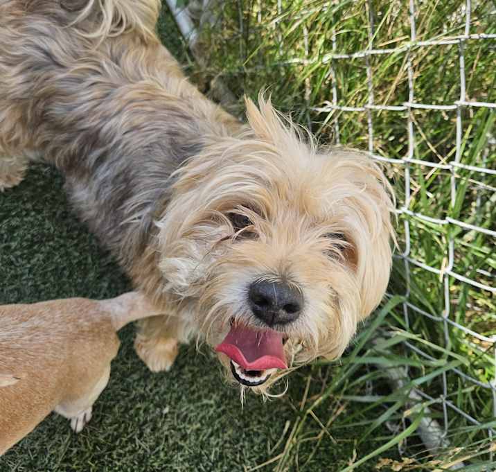Photo of Spanky