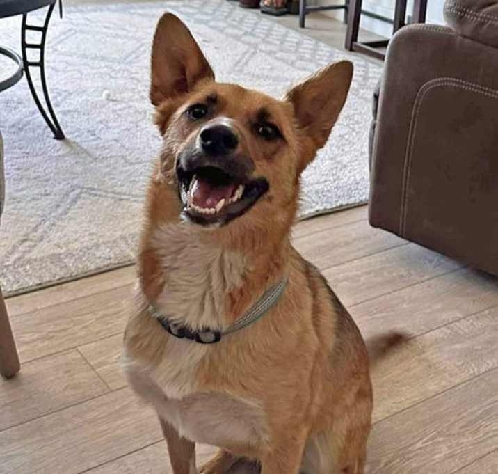 Photo of Kira the Brave