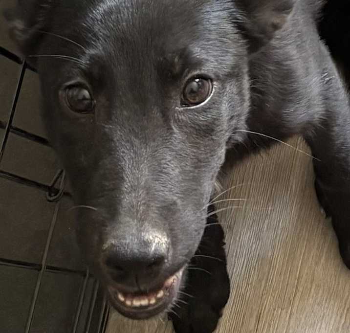 Photo of Happy