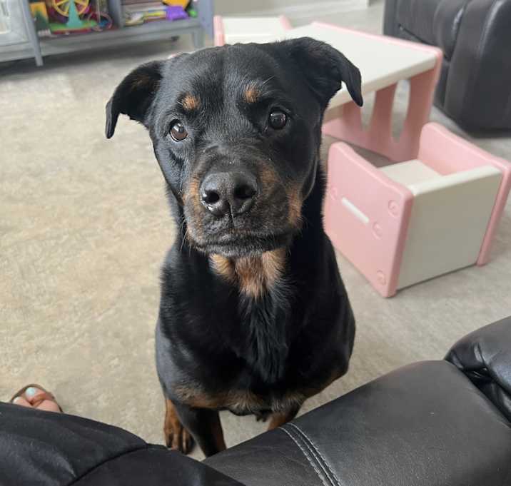 Photo of Rylee