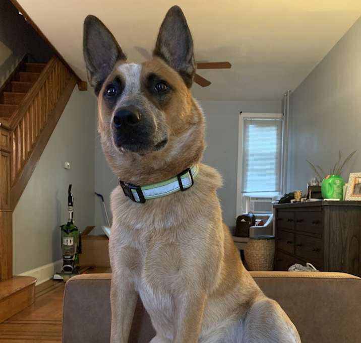 Photo of Hiro