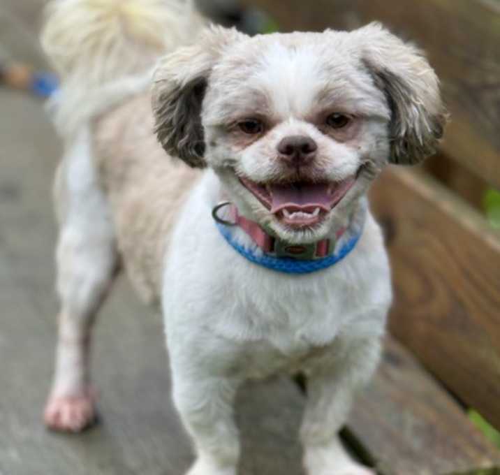 Photo of Flip