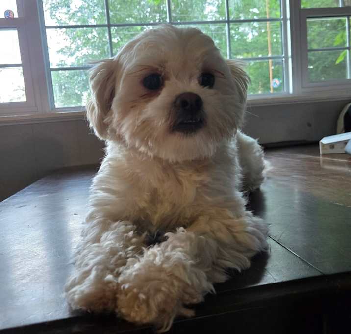 Photo of Oswald