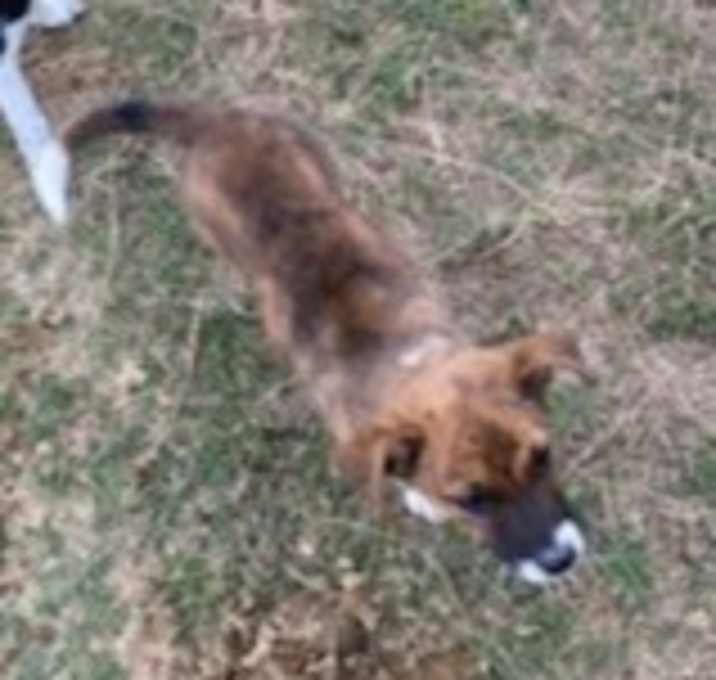 Photo of lulu