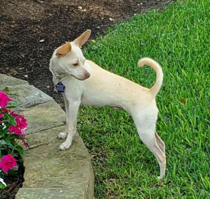 Photo of Ivory