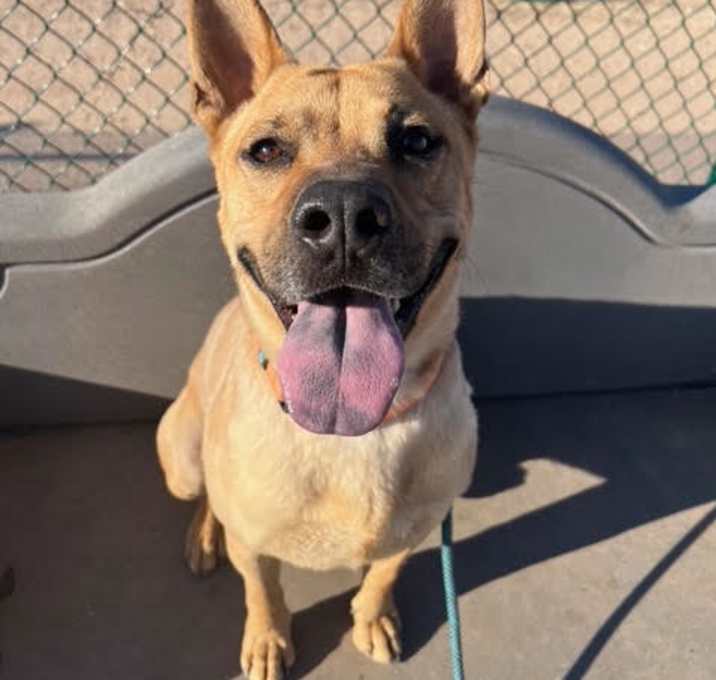 Photo of SCOOBY
