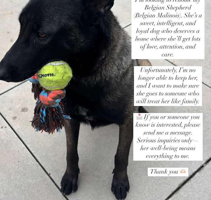 Photo of Maggie