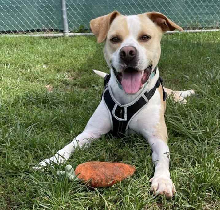 Photo of Max