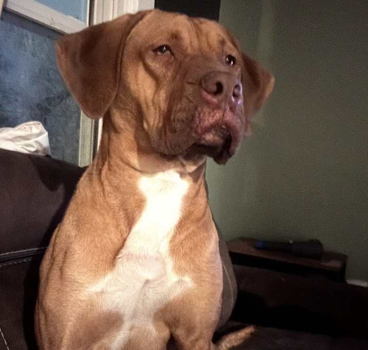Photo of Georgie