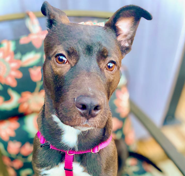 Photo of Stormy