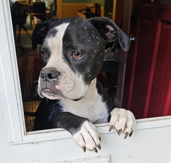 Photo of Olivia